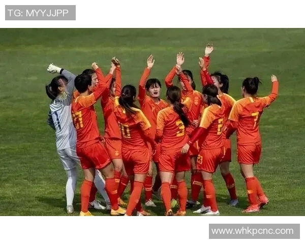 南京足球队在挑战赛中的默契配合与战术执行分析